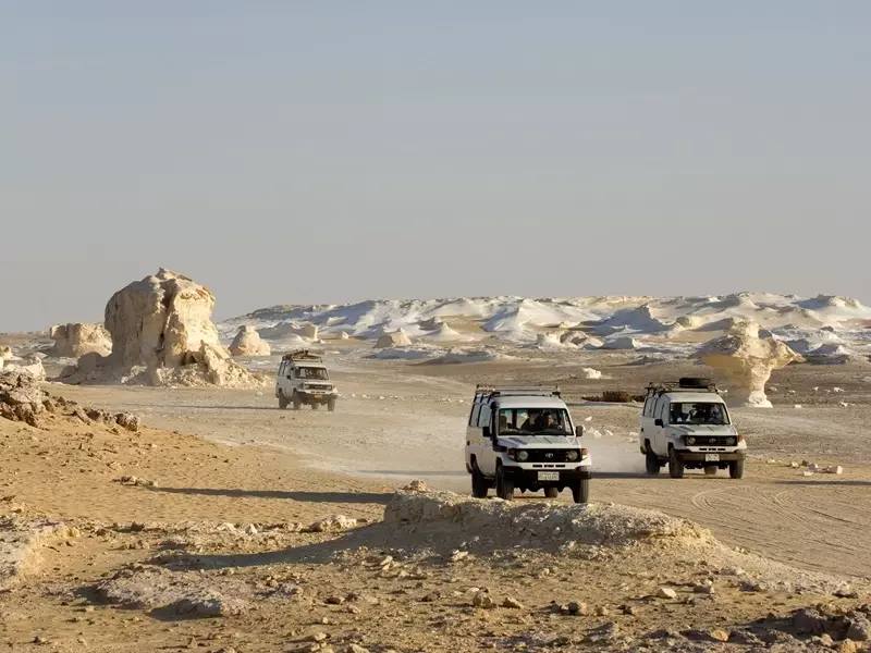 Oasis de Farafra