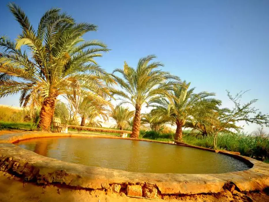 Tour al oasis de Bahariya y al desierto blanco desde El Cairo