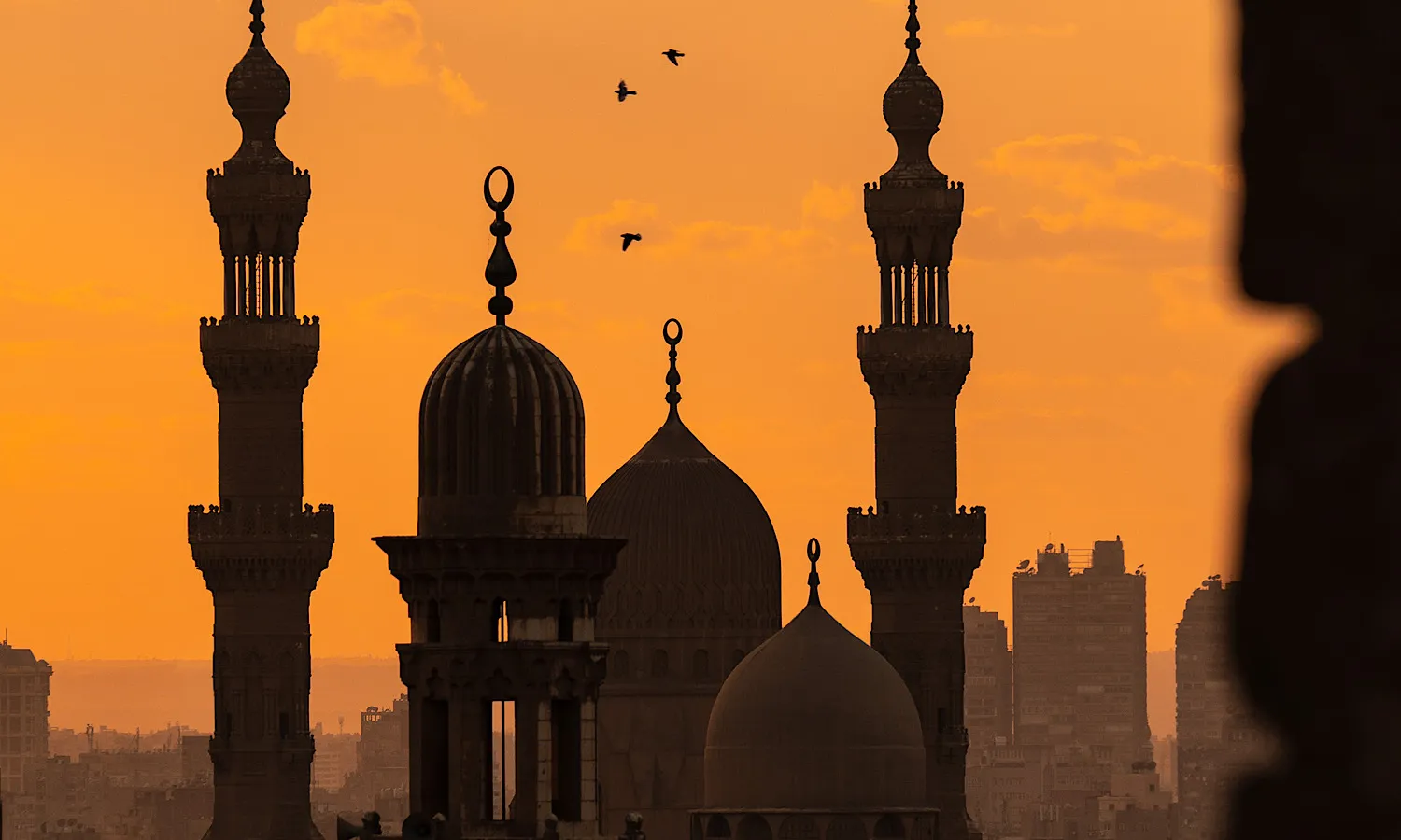Explora las antiguas mezquitas de El Cairo