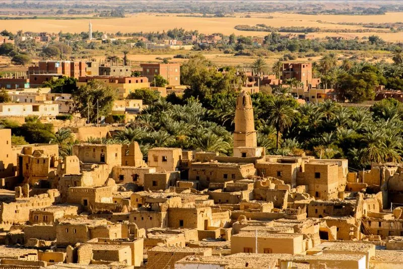 Oasis de Dakhla