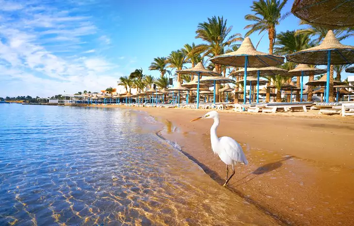 Playas del Mar Rojo