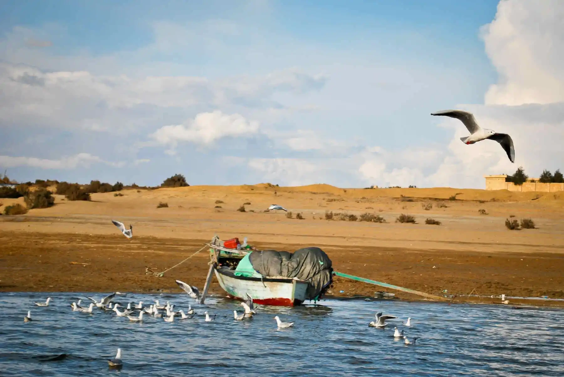 Wadi El Rayán