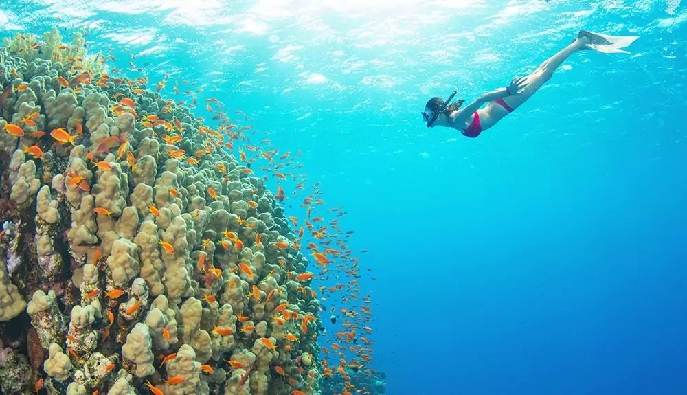 Viaje de snorkel a la isla Mahmya desde Hurghada