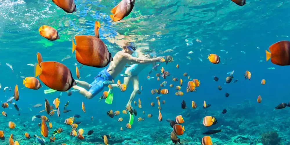 Viaje de snorkel a la isla Mahmya desde Hurghada