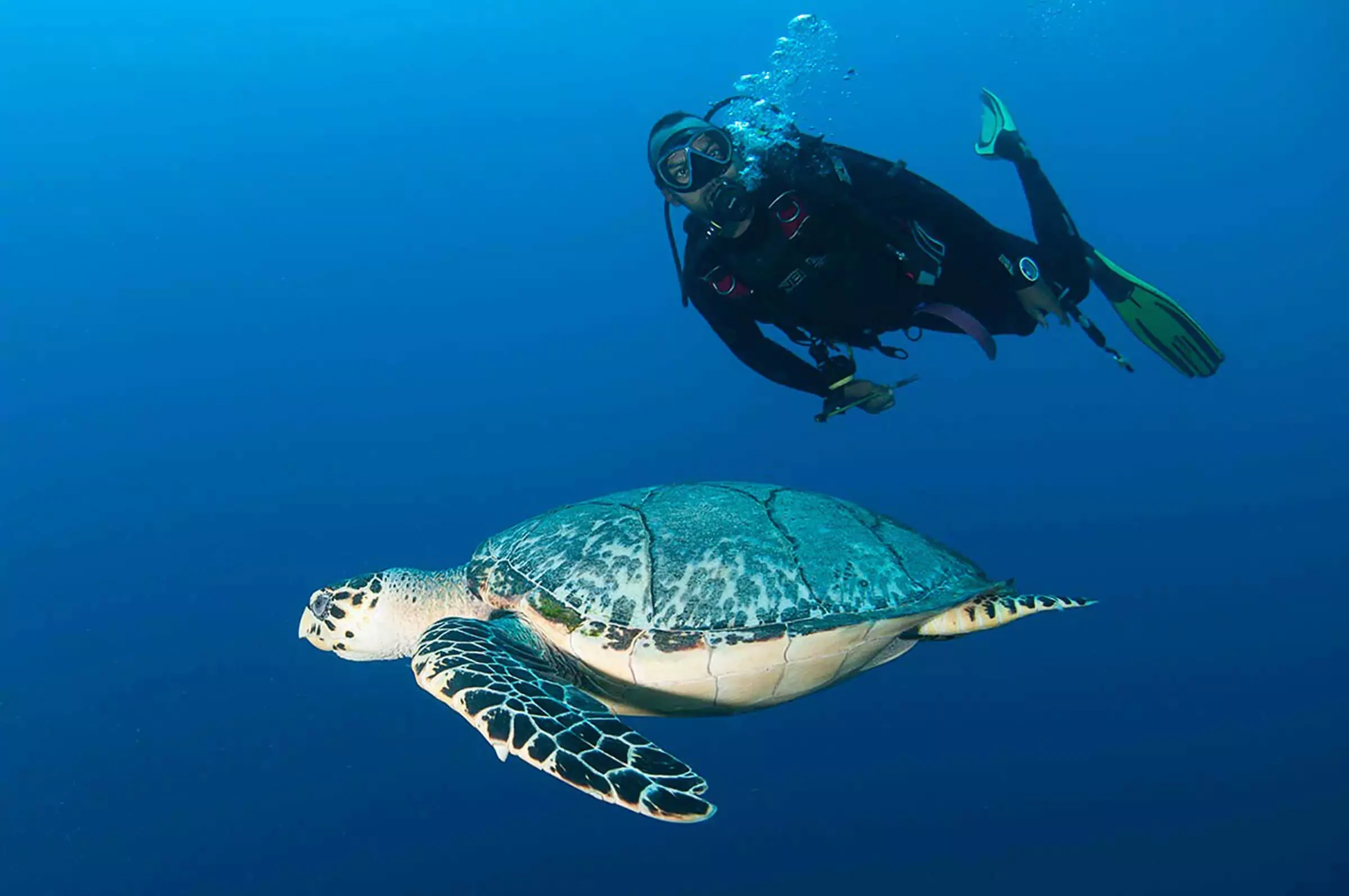 Tour de buceo en Hurghada