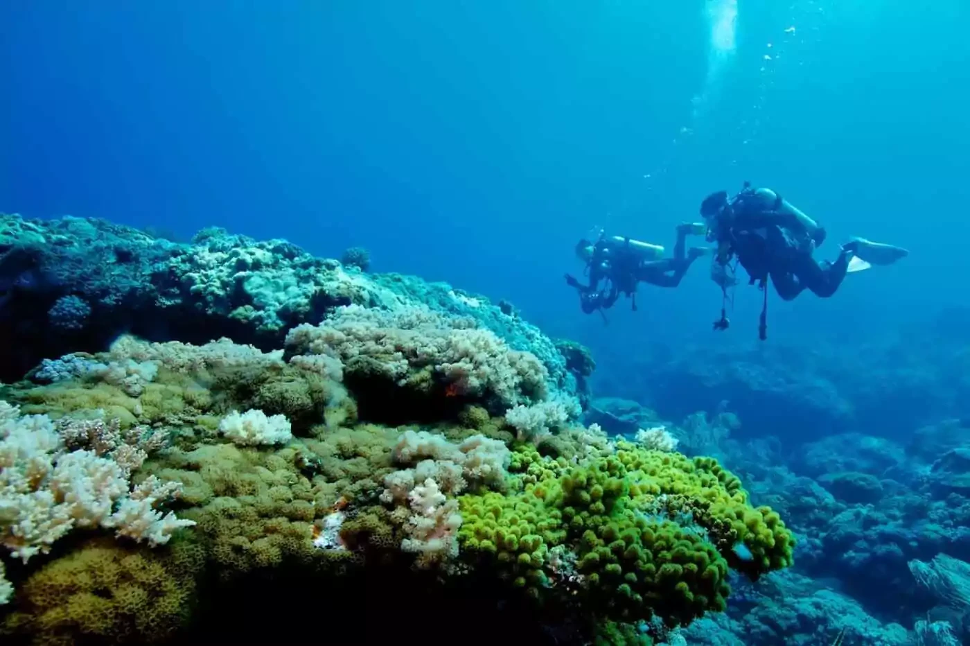 Tour de buceo en Hurghada