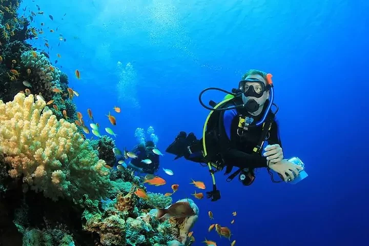 Excursión de snorkel a Orange Bay desde Makadi Bay