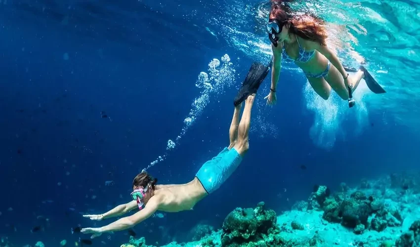Snorkeling day trip in El Gouna