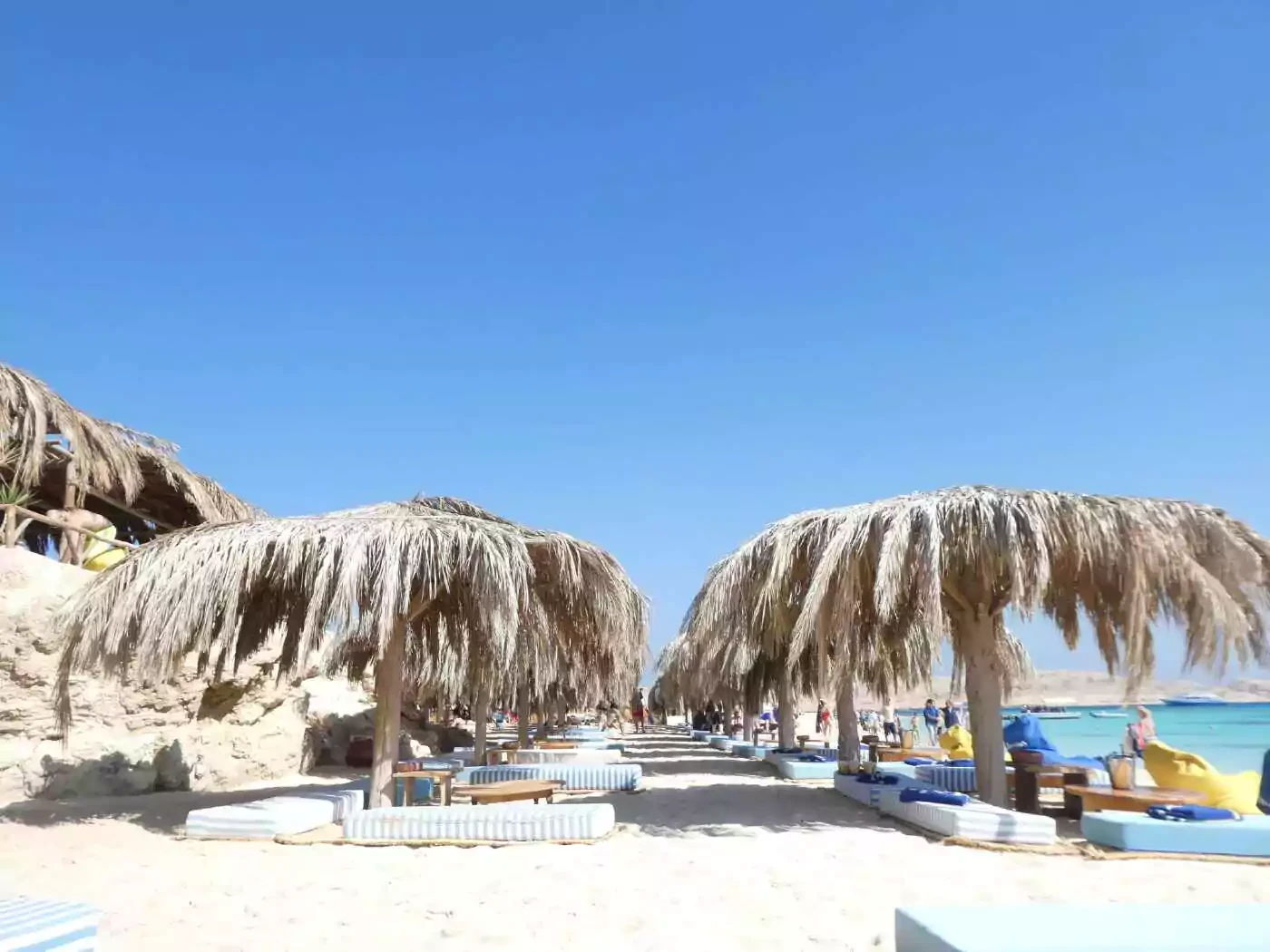 Snorkeling Trip to Mahmya Island from El Gouna