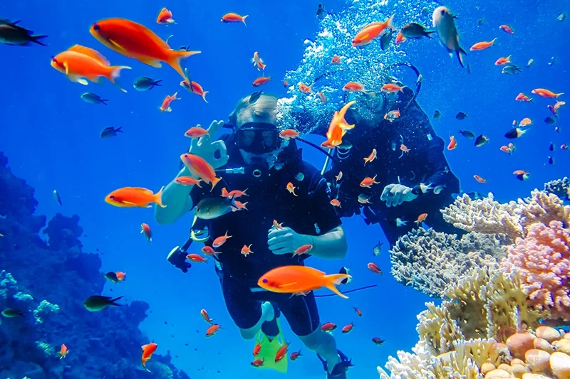Los mejores lugares para bucear en Hurghada
