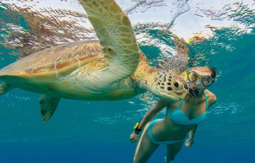 Snorkeling Trip to Marsa Mubarak from Marsa Alam