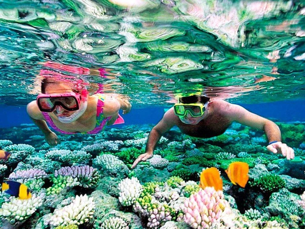 Snorkeling Trip to Marsa Mubarak from Marsa Alam