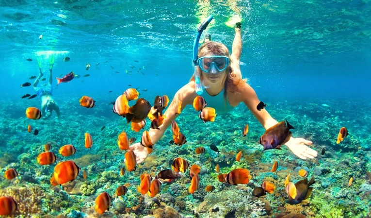 Snorkeling Trip to Marsa Mubarak from Marsa Alam