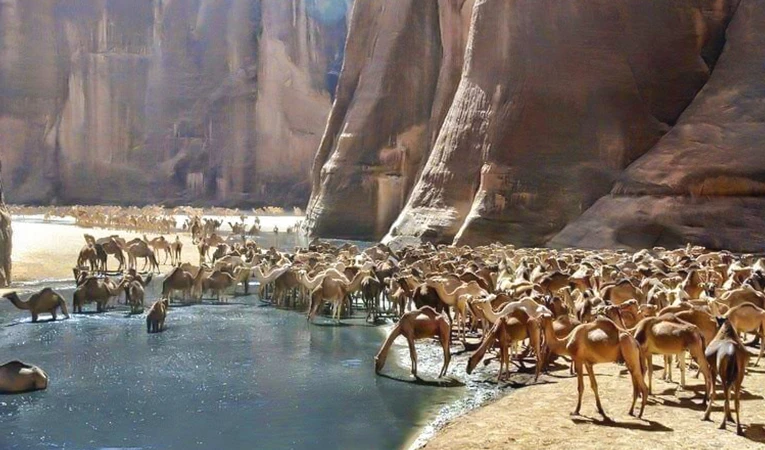 Wadi El Gemal Safari from Marsa Alam