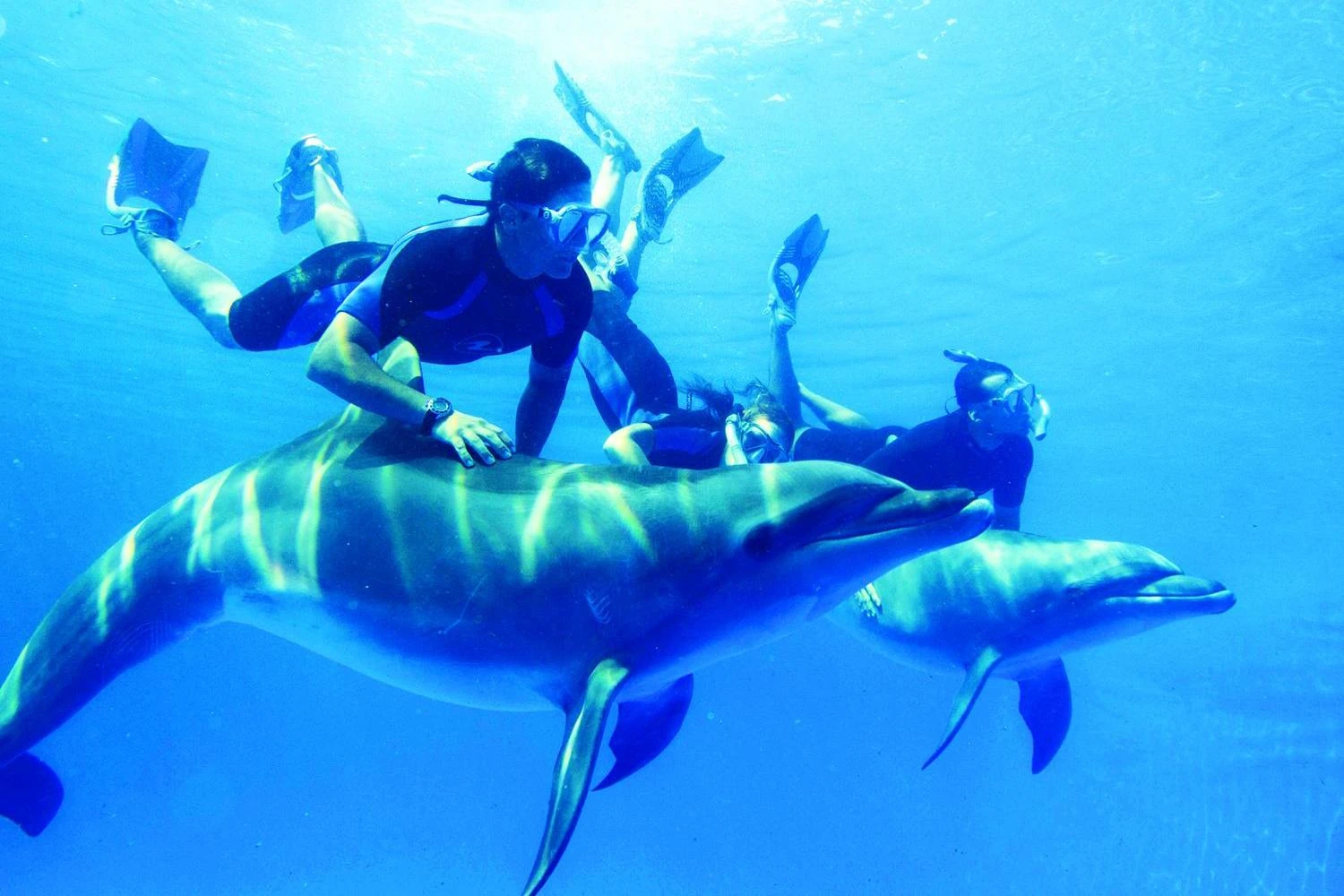 Excursión de buceo nocturna en Sataya Dolphin Reef desde Marsa Alam