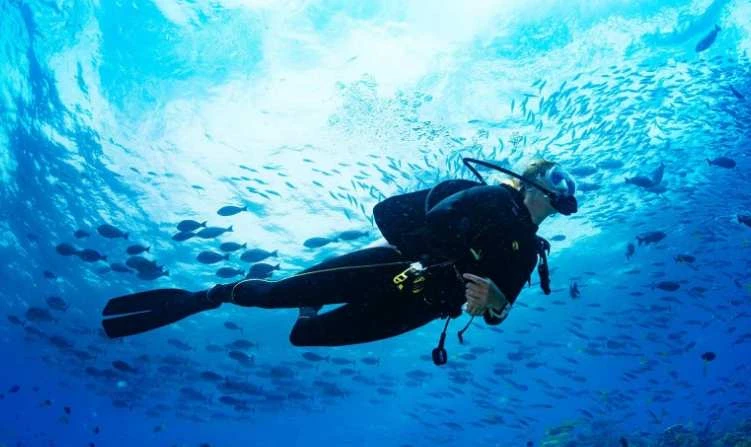 Excursión de buceo nocturna en Sataya Dolphin Reef desde Marsa Alam