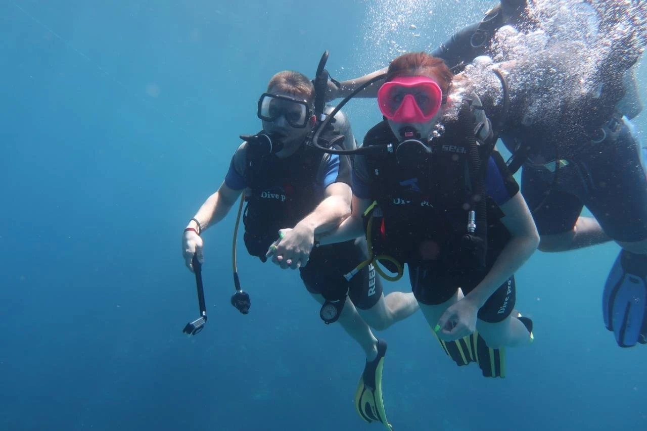 Excursión de buceo nocturna en Sataya Dolphin Reef desde Marsa Alam