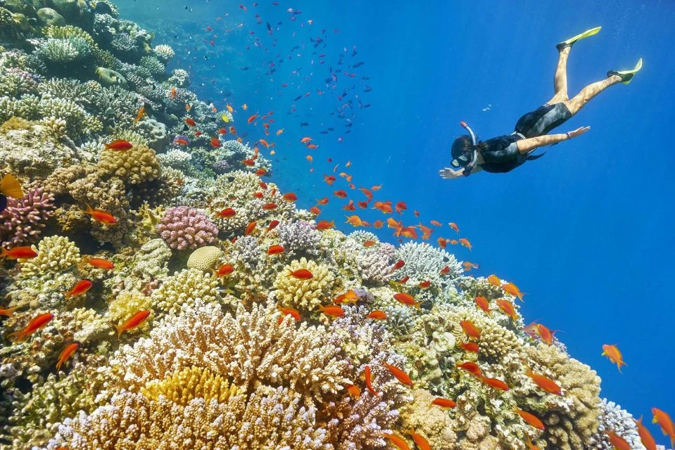 Excursión de snorkeling a las islas Hamata desde Marsa Alam