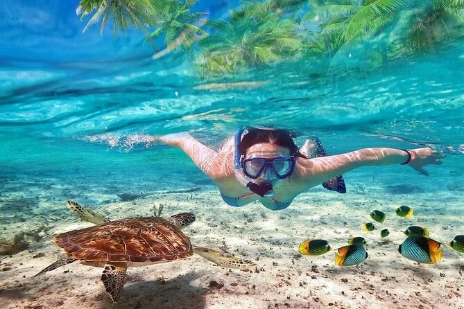 Excursión de snorkeling a las islas Hamata desde Marsa Alam