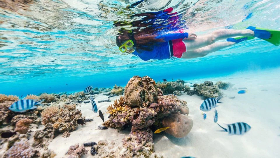 Excursión de snorkeling a las islas Hamata desde Marsa Alam