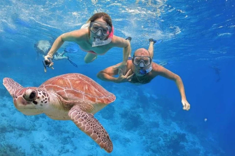 Sataya Reef Snorkeling trip from Marsa Alam