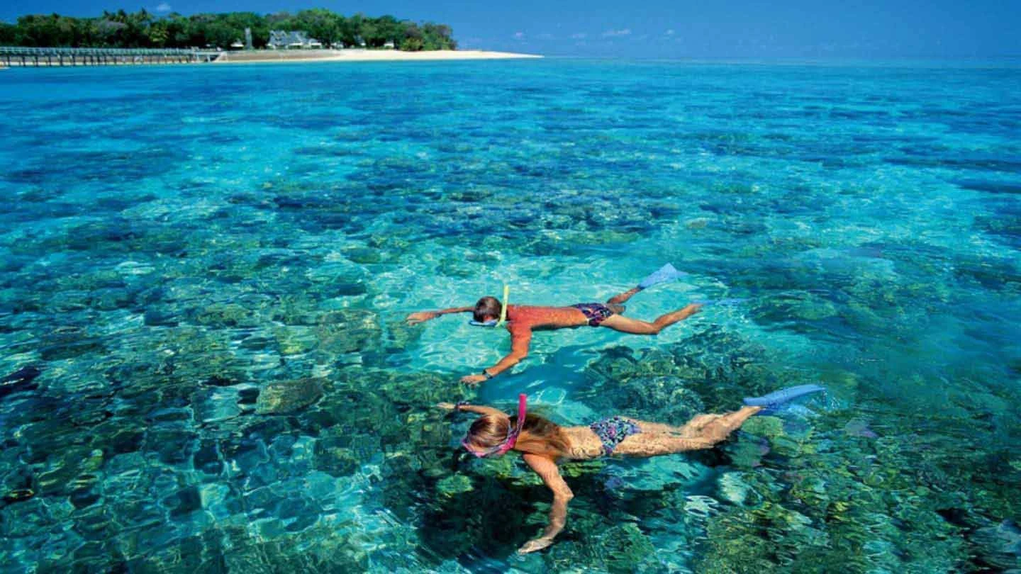 Sataya Reef Snorkeling trip from Marsa Alam