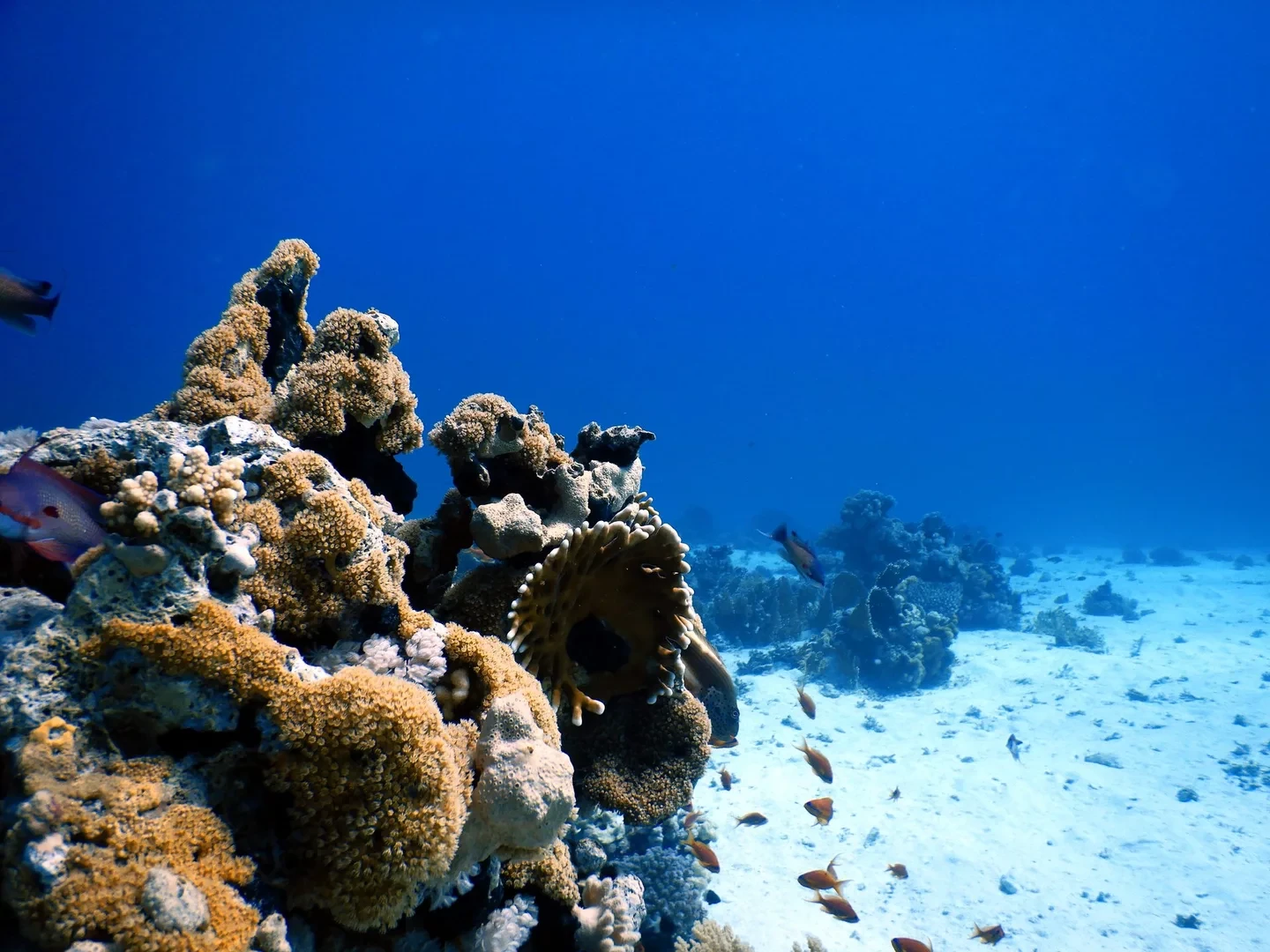 Strait of Tiran / Dahab