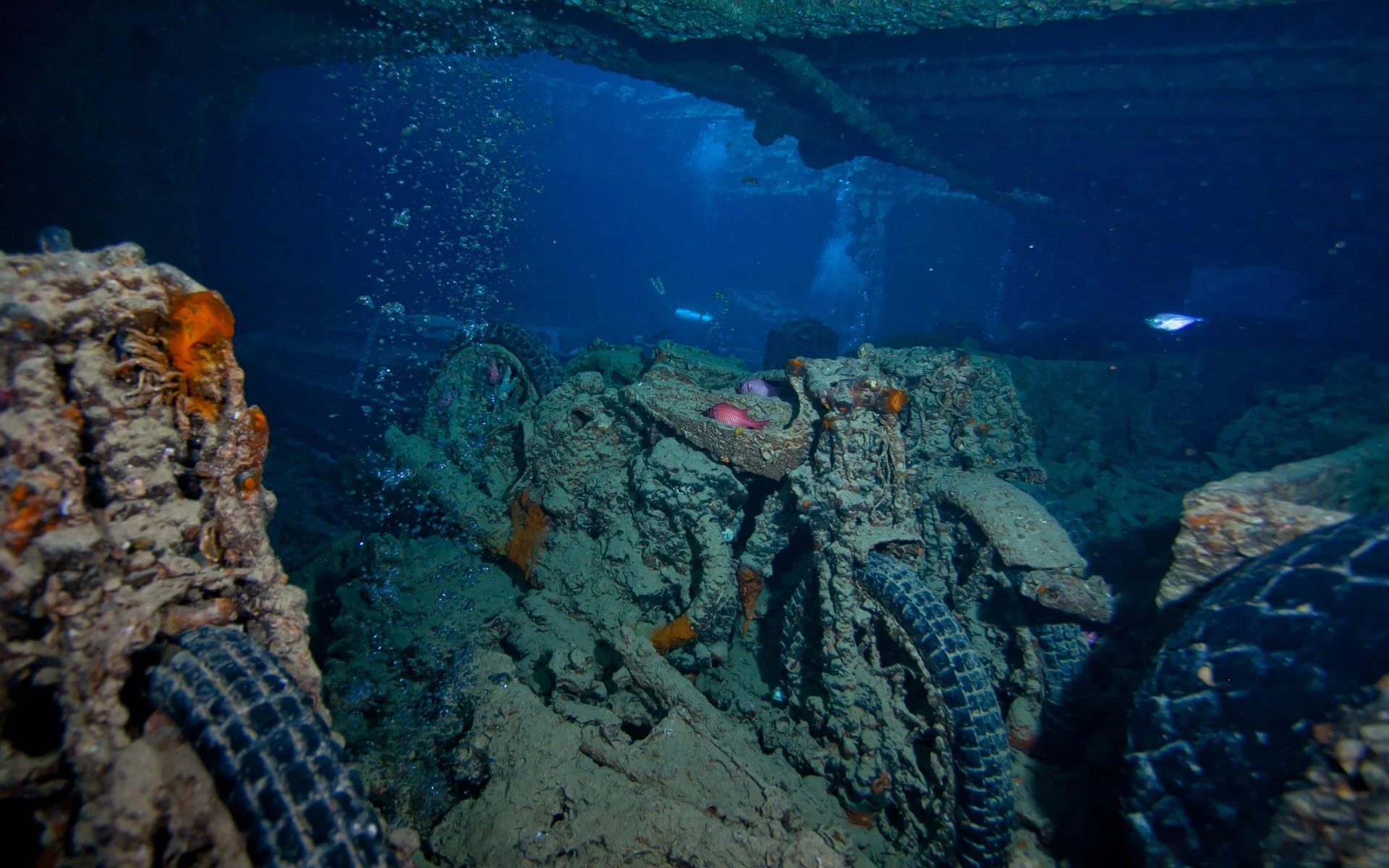 Strait of Tiran / Dahab