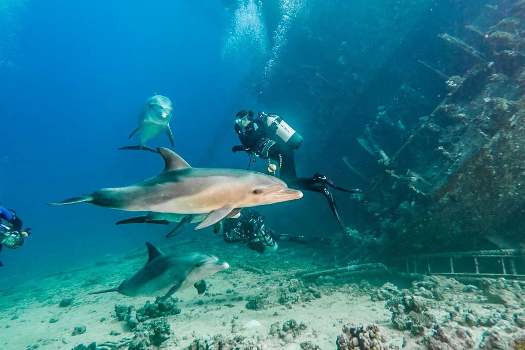 Strait of Tiran / Dahab