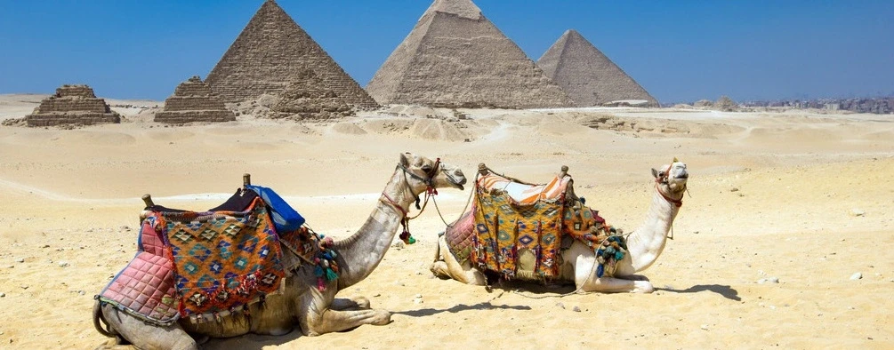 Excursion d'une journée aux attractions du Caire au départ de Sharm El Sheikh