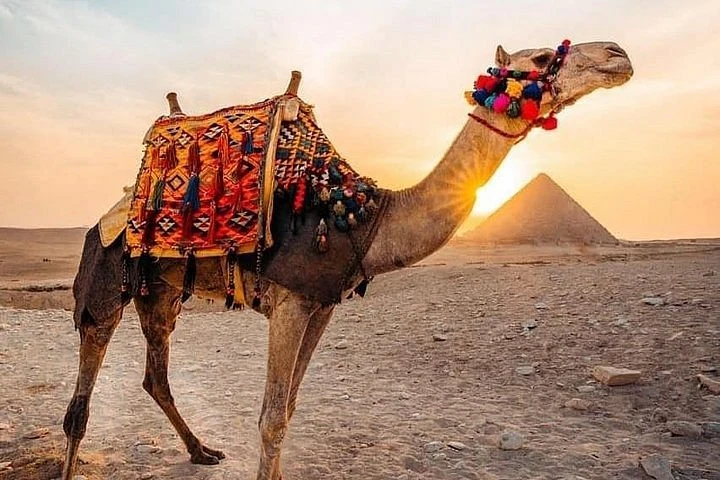 Voyage de 2 jours au Caire depuis Sharm El Sheikh