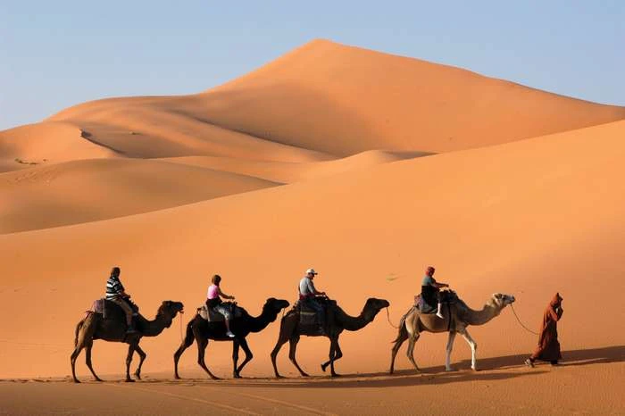 Giza Pyramids Tour from Dahab