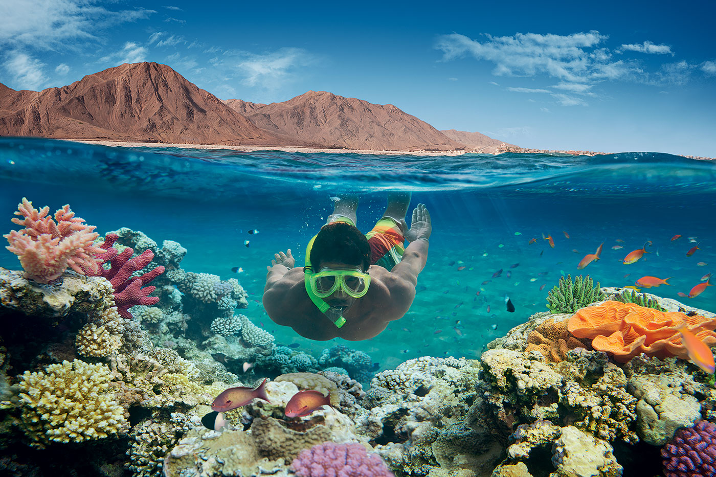 Buceo en Sharm El Sheikh