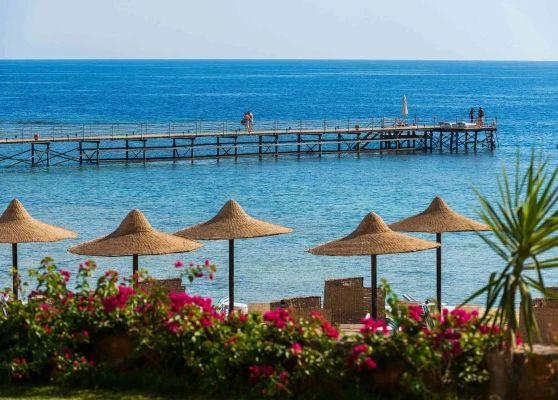 Marsa Alam Day Tours