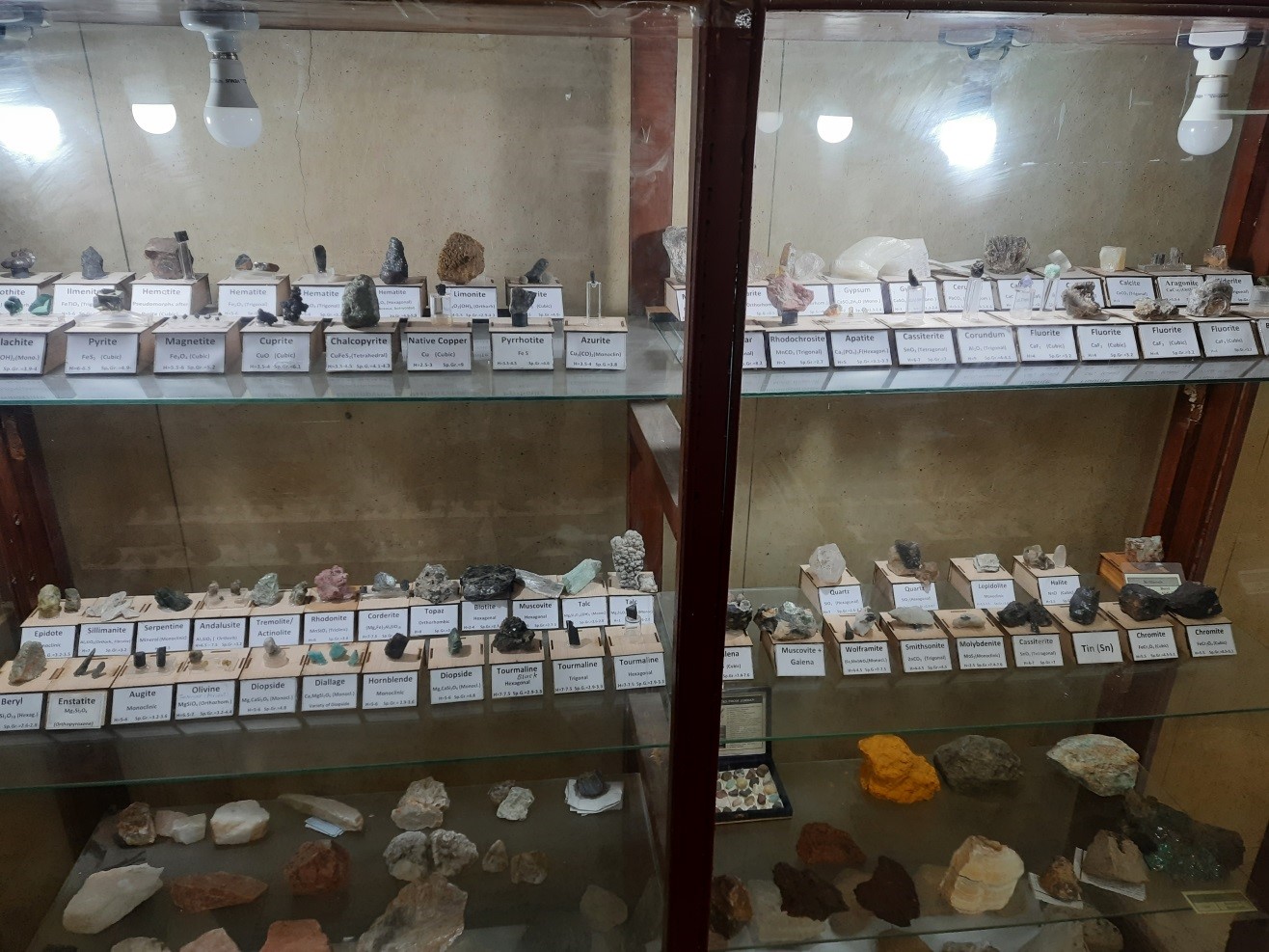 Museo Geológico Egipcio