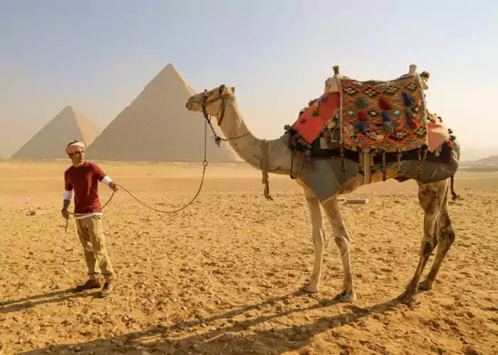 El mejor tour de El Cairo desde Sharm El Sheikh