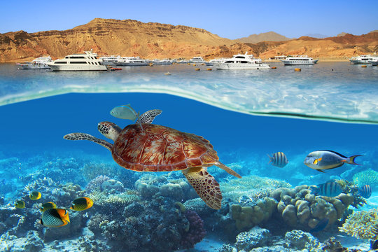 About Us Golavita Travel